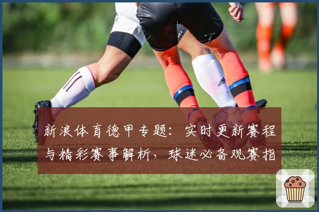 新浪体育德甲专题：实时更新赛程与精彩赛事解析，球迷必备观赛指南