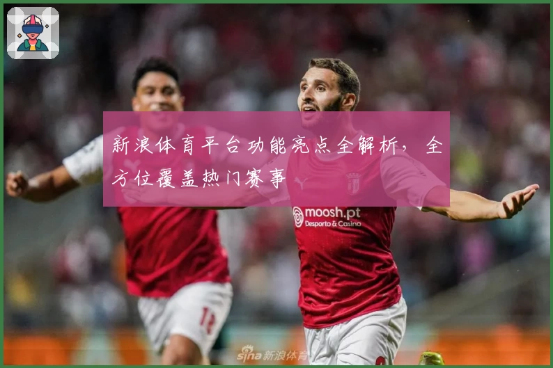 新浪体育平台功能亮点全解析，全方位覆盖热门赛事