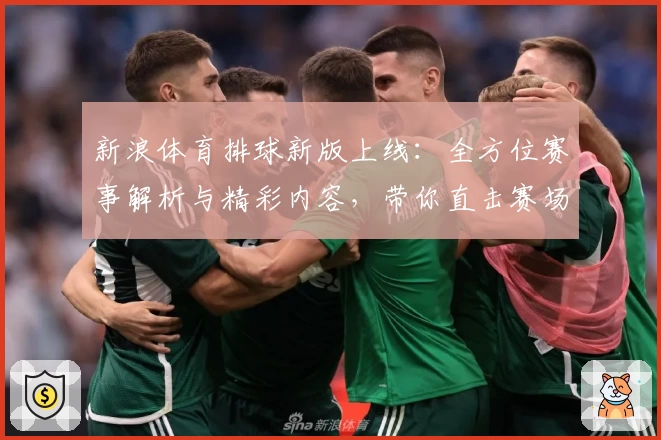 新浪体育排球新版上线：全方位赛事解析与精彩内容，带你直击赛场重磅瞬间