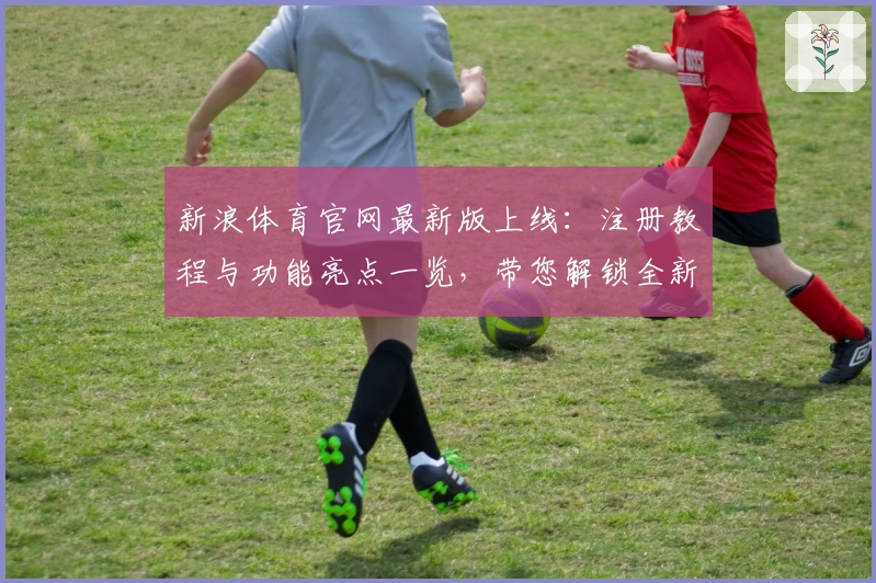 新浪体育官网最新版上线：注册教程与功能亮点一览，带您解锁全新观赛体验