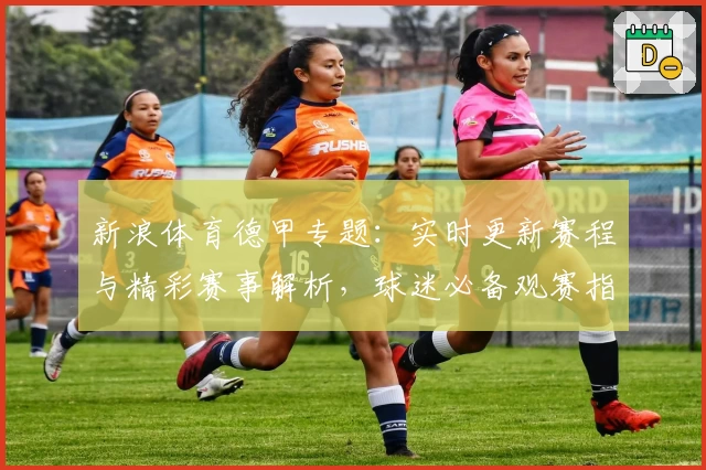 新浪体育德甲专题：实时更新赛程与精彩赛事解析，球迷必备观赛指南