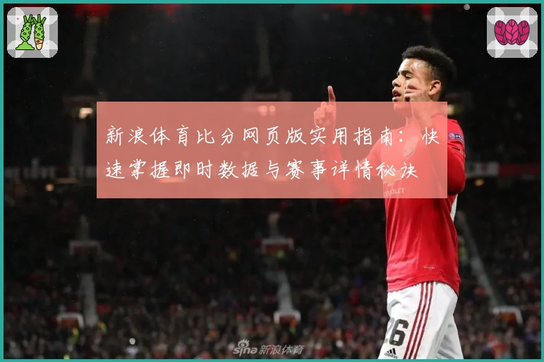 新浪体育比分网页版实用指南：快速掌握即时数据与赛事详情秘诀