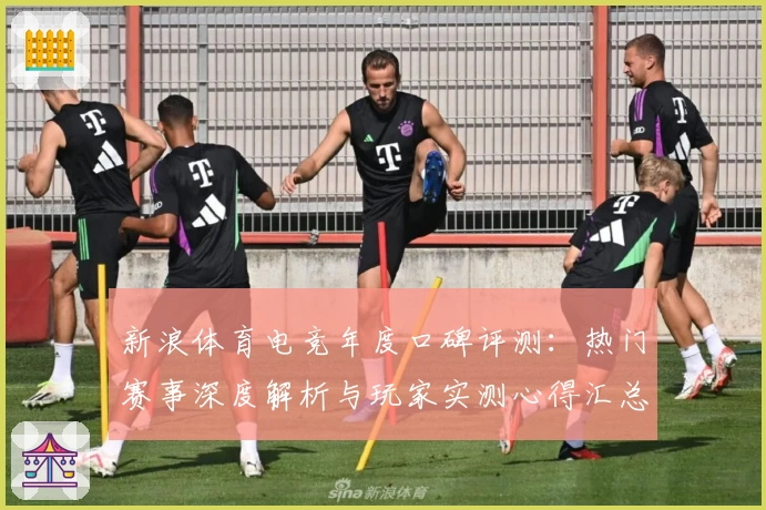 新浪体育电竞年度口碑评测：热门赛事深度解析与玩家实测心得汇总