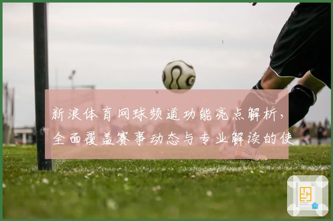 新浪体育网球频道功能亮点解析，全面覆盖赛事动态与专业解读的使用体验