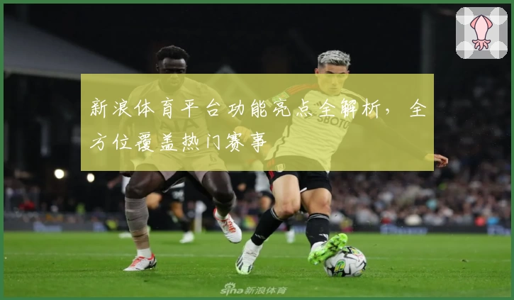 新浪体育平台功能亮点全解析，全方位覆盖热门赛事